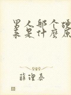 男人那个硬不起来是什么原因