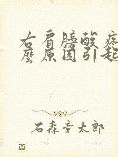 右肩膀酸疼是什么原因引起的