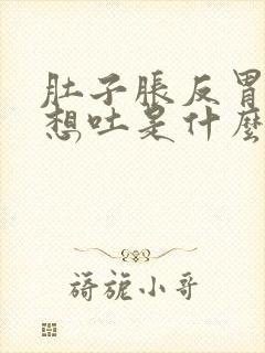 肚子胀反胃恶心想吐是什么原因