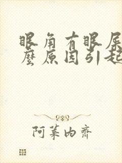 眼角有眼屎是什么原因引起的怎么调理