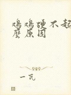 鸡鸡硬不起是什么原因