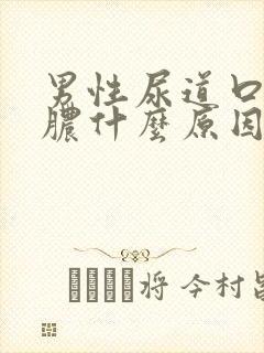 男性尿道口流黄脓什么原因