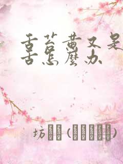 舌苔黄又是齿痕舌怎么办