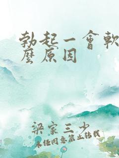 勃起一会软了什么原因