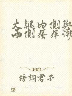 大腿内侧与阴囊两侧瘙痒潮湿发红挂什么科