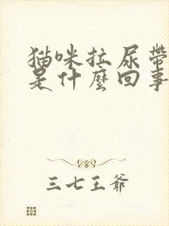 猫咪拉尿带点血是什么回事