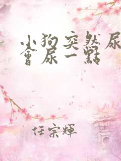 小狗突然尿频一会尿一点