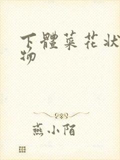 下体菜花状赘生物