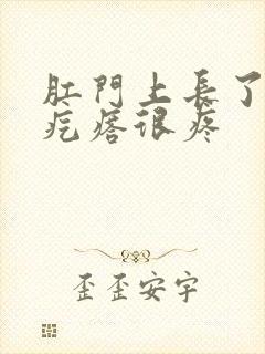 肛门上长了个硬疙瘩很疼