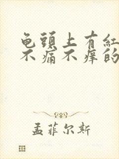 龟头上有红点点不痛不痒的