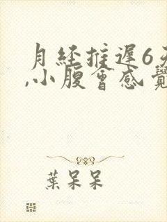 月经推迟6天了,小腹会感觉坠胀是因为什么