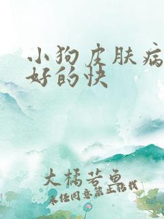 小狗皮肤病怎么好的快