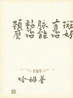 颈动脉有斑块怎么治能治好