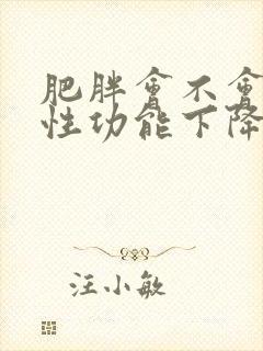 肥胖会不会引起性功能下降