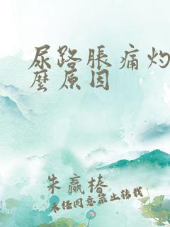 尿路胀痛灼热什么原因