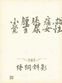 小腹胀痛,总感觉有尿女性