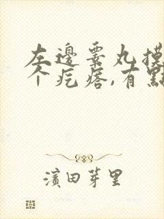 左边睾丸摸着有个疙瘩,有点疼