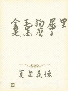 金毛狗尿里有血是怎么了