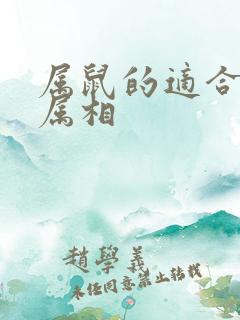 属鼠的适合婚配属相