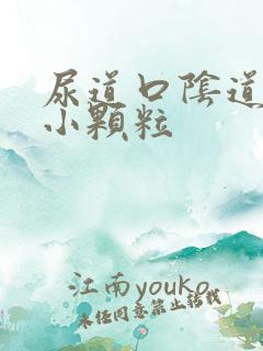 尿道口阴道口有小颗粒