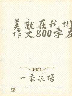 美就在我们身边作文800字左右