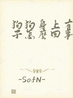 狗狗身上有黑虫子怎么回事