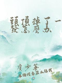 头顶掉了一块头发怎么办