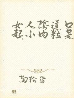 女人阴道口外面起小肉粒是怎么回事