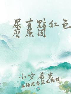 尿有点红色是什么原因