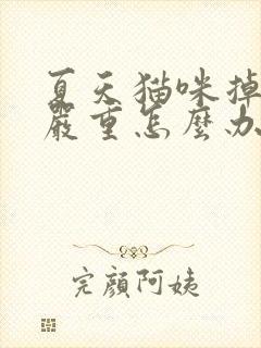 夏天猫咪掉毛很严重怎么办