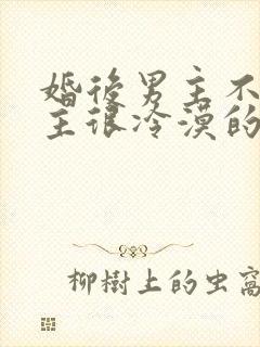 婚后男主不爱女主很冷漠的文