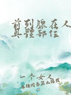 前列腺在人身体具体部位