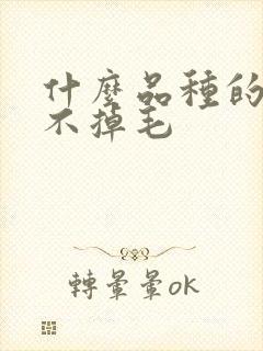 什么品种的猫猫不掉毛