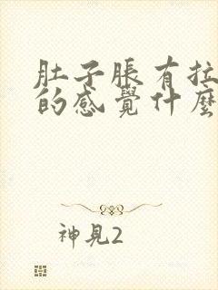 肚子胀有拉大便的感觉什么原因