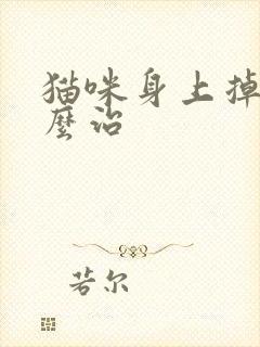 猫咪身上掉毛怎么治