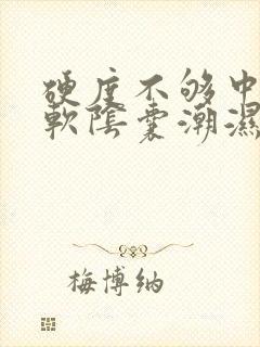 硬度不够中途疲软阴囊潮湿吃什么药