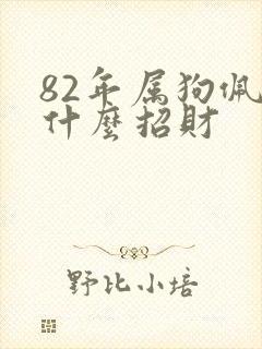 82年属狗佩戴什么招财