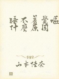 睡不着觉呕吐是什么原因