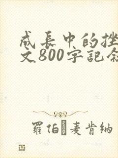 成长中的挫折作文800字记叙文