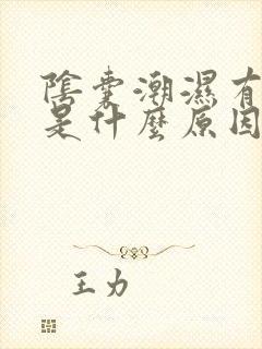 阴囊潮湿有点痒是什么原因造成的