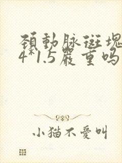 颈动脉斑块3.4*1.5严重吗