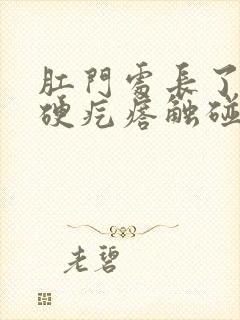 肛门处长了一个硬疙瘩触碰有点疼