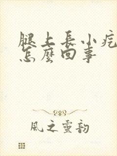 腿上长小疙瘩是怎么回事