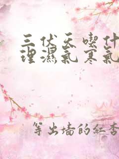 三伏天吃什么调理湿气寒气