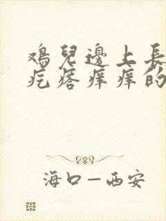 鸡儿边上长红色疙瘩痒痒的