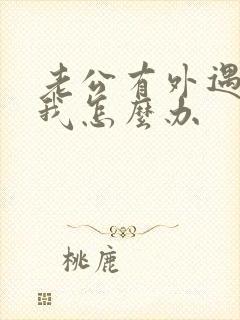 老公有外遇不理我怎么办