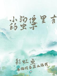 小狗便里有白色的虫子