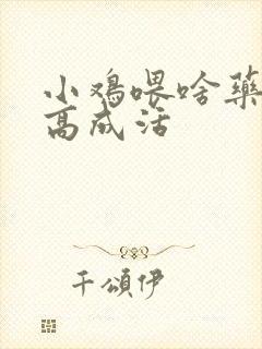 小鸡喂啥药能提高成活