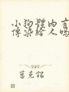 小狗体内有虫会传染给人吗