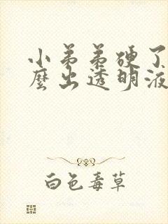 小弟弟硬了为什么出透明液体